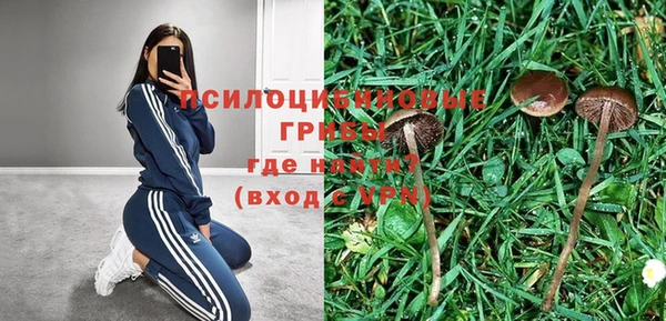 индика Новый Уренгой